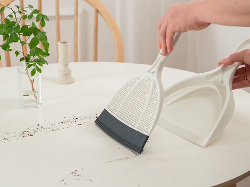 Broombi Brush with Dustpan