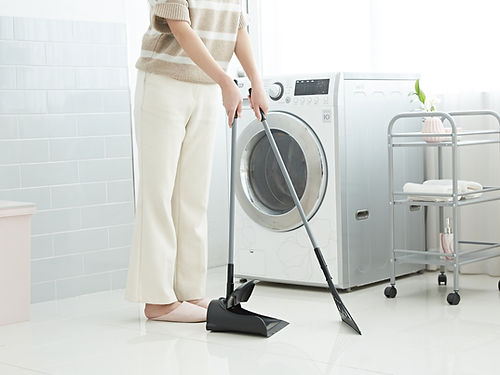 Broombi and Dustpan Combo