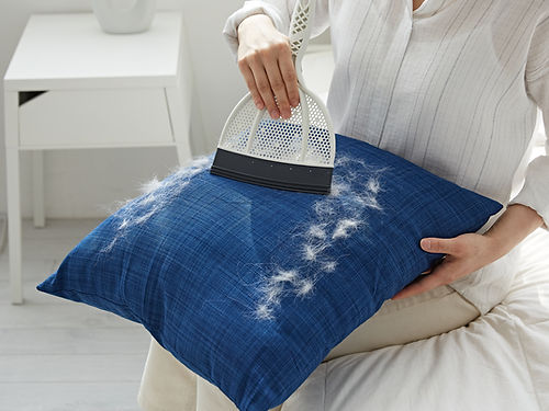 Broombi Brush with Dustpan