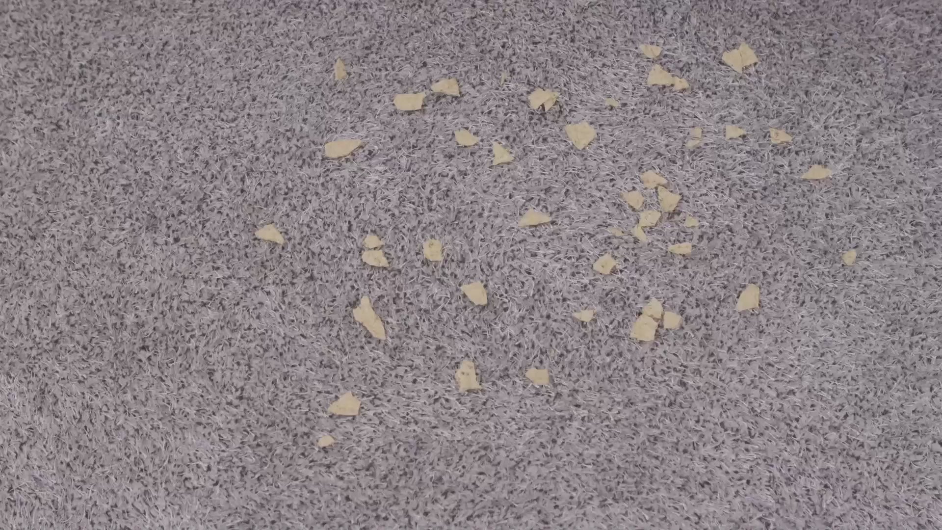 Broombi and Dustpan Combo